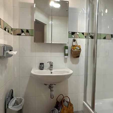 Brauner Baer منزل للإقامة